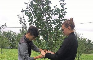 Mlada Lucija ostavila nogomet, kupila podrivač i 800 sadnica šljiva i postala poljoprivrednica
