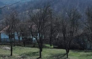 Ljiljana Skelić Vemić……ONI U SRCU ŽIVE…TAKO TO IDE