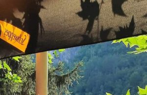 Zdravka Babic…….PJESNIK…..i…..NE BUDETE NAS……