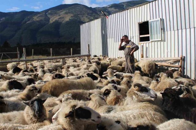 ivan-pastir-blidinje-2-1170x780