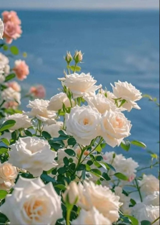 FB_IMG_1769934096169