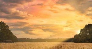 © Vesna Milošević ….SMEŠAK S NEBA.