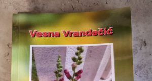 Vesna Martorij Vrandecic