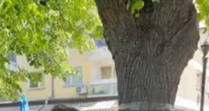 Ema Emili Antic..KUDIŠ ME..